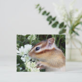 Chipmunk foto (30-19) briefkaart (Staand voorkant)