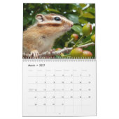 Chipmunk foto (3) kalender (Mar 2027)