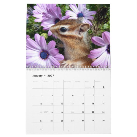 Chipmunk foto (3) kalender (Jan 2027)