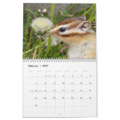 Chipmunk foto (3) kalender (Feb 2027)