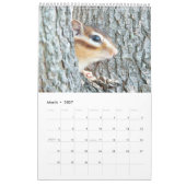 Chipmunk foto (4) kalender (Mar 2027)