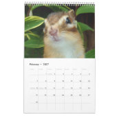 Chipmunk foto (4) kalender (Feb 2027)