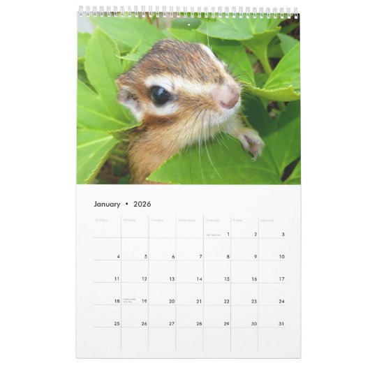 Chipmunk foto (4) kalender (Jan 2026)