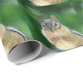 Chipmunk foto cadeaupapier (Rol Hoek)