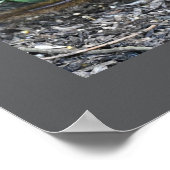 Chipmunk Foto Poster (Hoek)