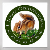Chipmunk foto poster (Voorkant)