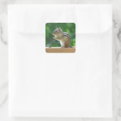 Chipmunk foto vierkante sticker (Tas)
