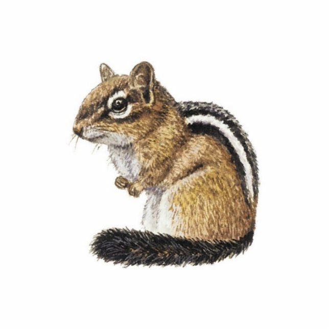 Chipmunk Fotobeeldje Ornament (Voorkant)