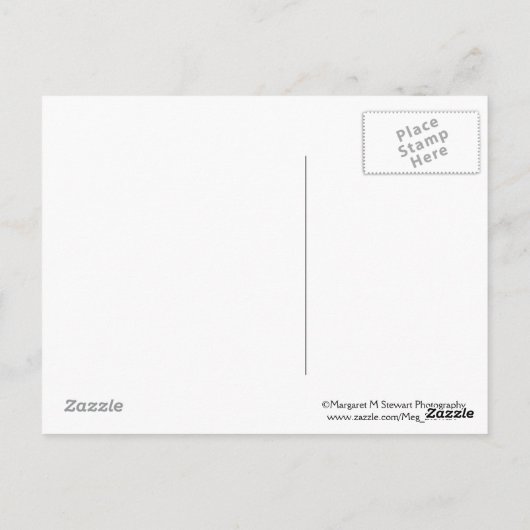 Chipmunk Friendship Quote Briefkaart (Achterkant)