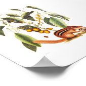  Chipmunk Illustratie Poster (Hoek)