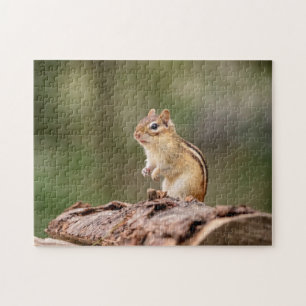 Chipmunk in de Adirondacks Legpuzzel