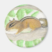 Chipmunk in de Apple Tree Magneet (Voorkant)