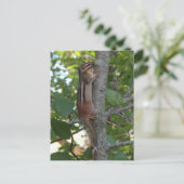 Chipmunk in de Bossen Briefkaart (Staand voorkant)
