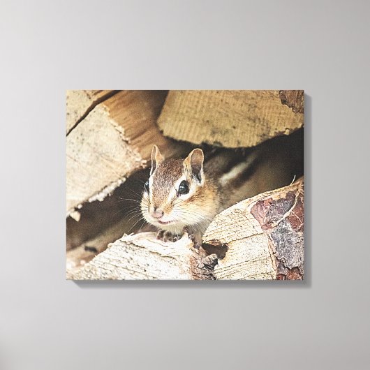 Chipmunk in een houten stapel canvas afdruk (Voorkant)