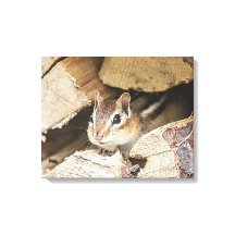 Chipmunk in een houten stapel