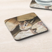 Chipmunk in een houten stapel drankjes onderzetter (Linkerzijde)