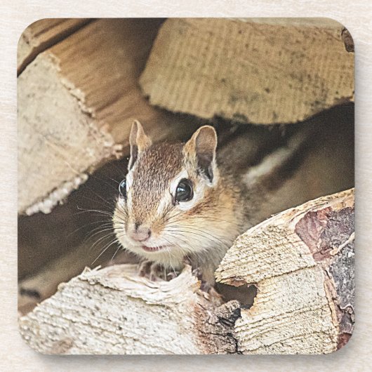 Chipmunk in een houten stapel drankjes onderzetter (Voorkant)