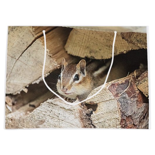 Chipmunk in een houten stapel groot cadeauzakje (Voorkant)
