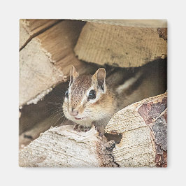 Chipmunk in een houten stapel magneet