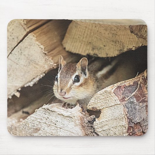 Chipmunk in een houten stapel muismat (Voorkant)