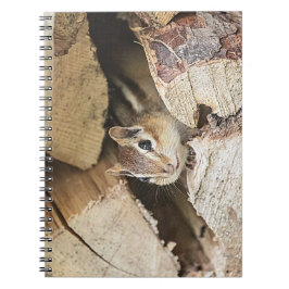Chipmunk in een houten stapel notitieboek