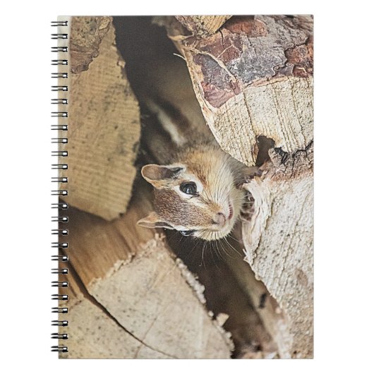 Chipmunk in een houten stapel notitieboek (Voorkant)