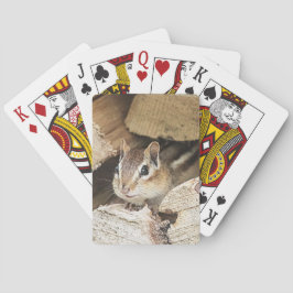 Chipmunk in een houten stapel pokerkaarten