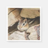 Chipmunk in een houten stapel servetten (Voorkant)