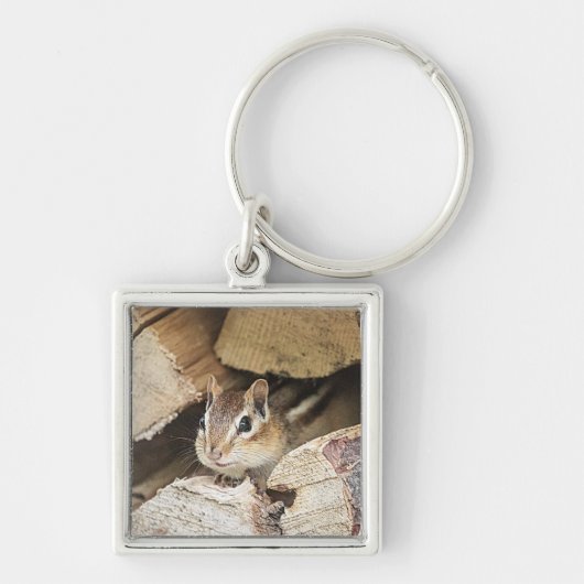 Chipmunk in een houten stapel sleutelhanger (Voorkant)