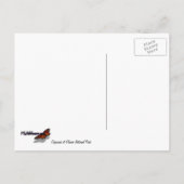 Chipmunk in Glacier National Park Briefkaart (Achterkant)