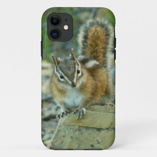 Chipmunk in Glacier National Park Case-Mate iPhone Case (Achterkant)