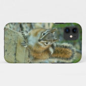 Chipmunk in Glacier National Park Case-Mate iPhone Case (Achterkant (horizontaal))