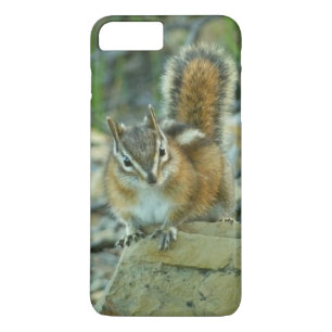 Chipmunk in Glacier National Park Case-Mate iPhone Case