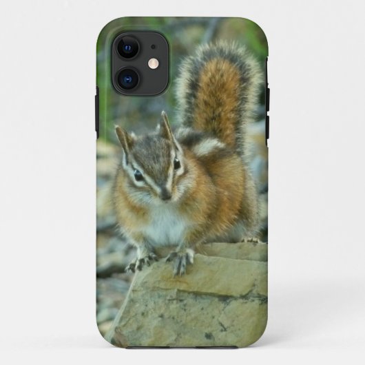 Chipmunk in Glacier National Park Case-Mate iPhone Case (Achterkant)