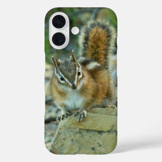 Chipmunk in Glacier National Park Case-Mate iPhone Case (Achterkant)