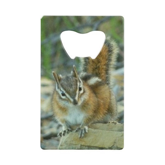 Chipmunk in Glacier National Park Creditkaart Flessenopener (Voorkant)