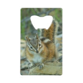 Chipmunk in Glacier National Park Creditkaart Flessenopener (Achterkant)