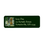 Chipmunk in Glacier National Park Etiket (Voorkant)