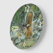 Chipmunk in Glacier National Park I Grote Klok (Hoek)