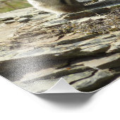 Chipmunk in Glacier National Park II Foto Afdruk (Hoek)