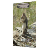 Chipmunk in Glacier National Park II Klembord (Links)