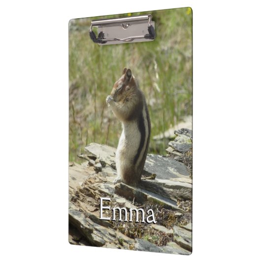 Chipmunk in Glacier National Park II Klembord (Links)