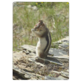 Chipmunk in Glacier National Park II Klembord (Achterkant)