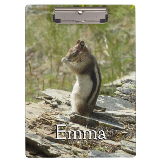 Chipmunk in Glacier National Park II Klembord (Voorkant)