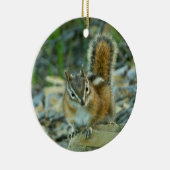 Chipmunk in Glacier National Park Keramisch Ornament (Rechts)