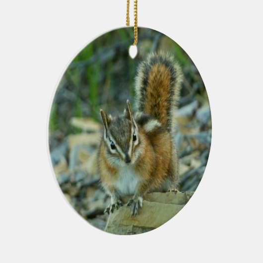 Chipmunk in Glacier National Park Keramisch Ornament (Rechts)