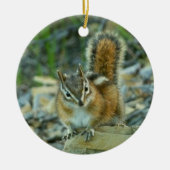 Chipmunk in Glacier National Park Keramisch Ornament (Voorkant)