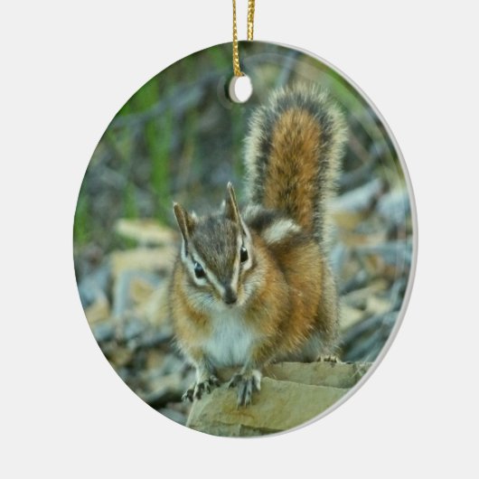 Chipmunk in Glacier National Park Keramisch Ornament (Links)