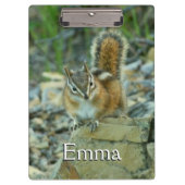 Chipmunk in Glacier National Park Klembord (Voorkant)