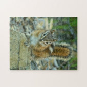 Chipmunk in Glacier National Park Legpuzzel (Horizontaal)